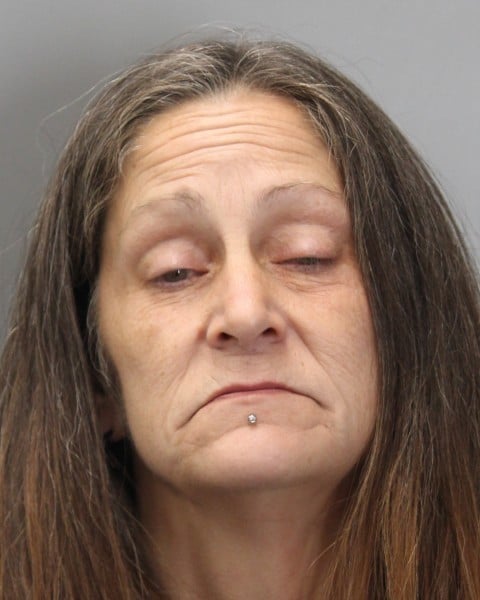 Harrington Police charge New Castle woman with 3rd DUI