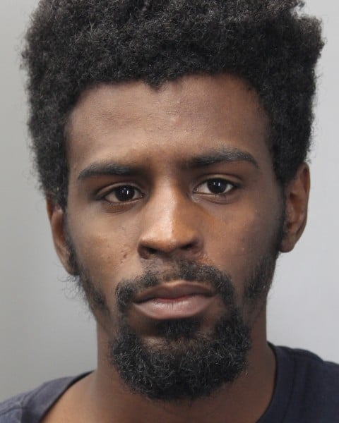 Harrington man charged with theft
