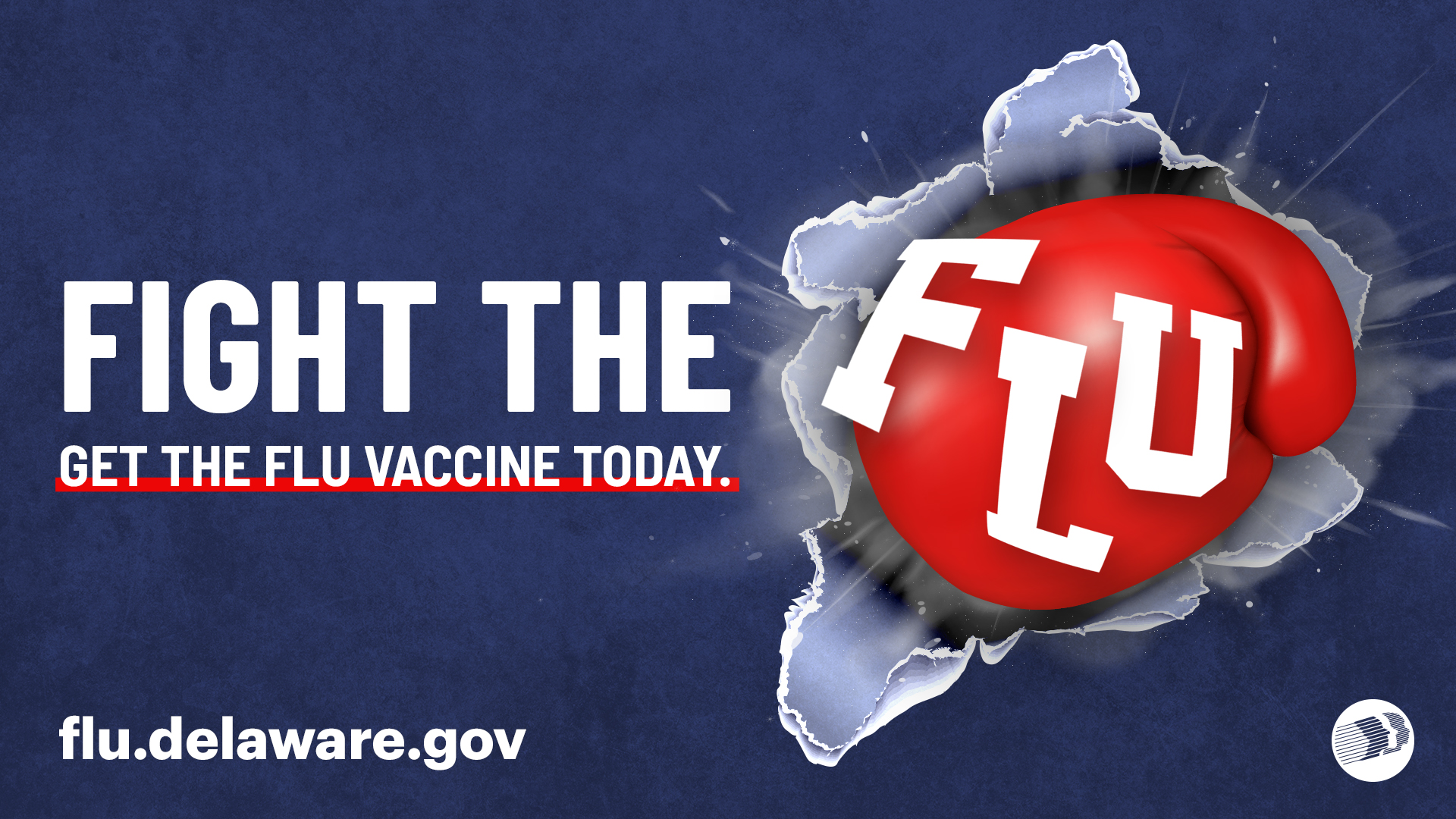 First two cases of flu confirmed in Delaware