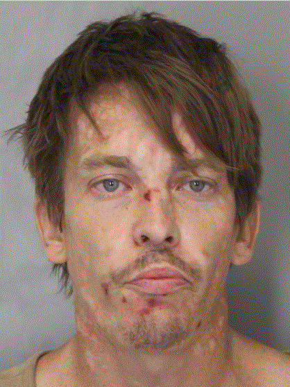 Seaford man charged with his 4th DUI after welfare check