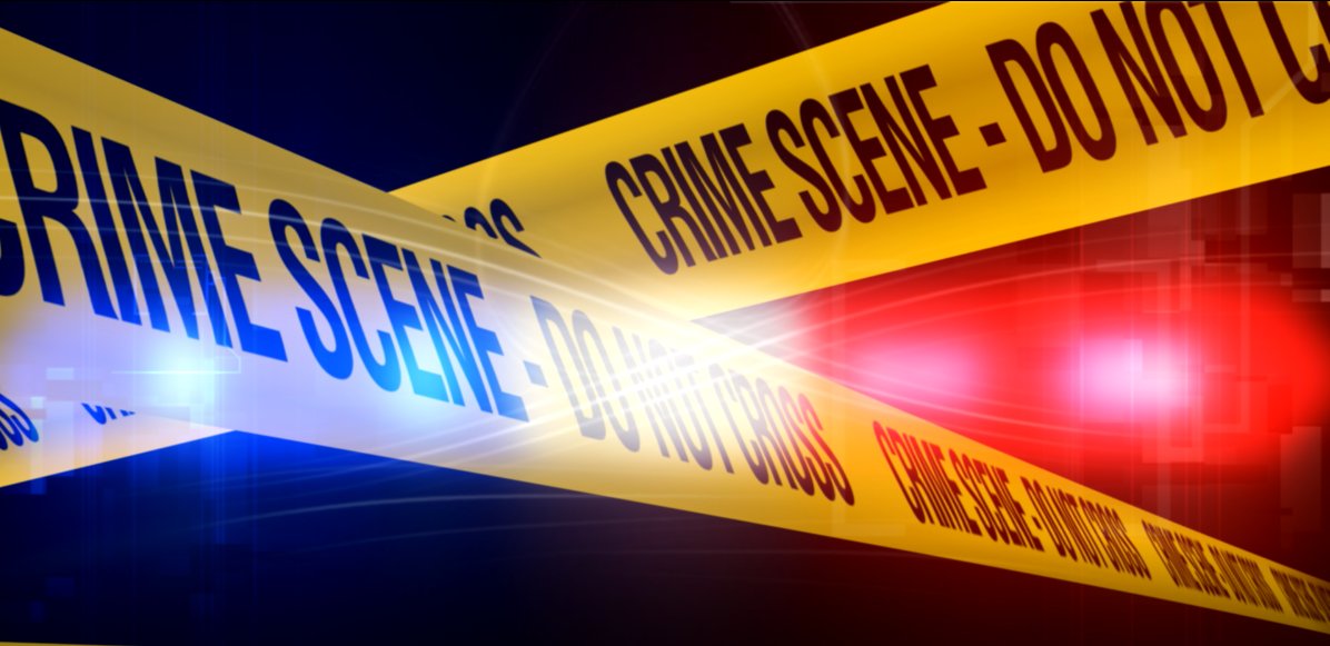 Vehicle shot seven times in Dover