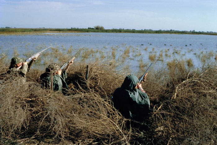 Additional hunting seasons kick off this month in Delaware