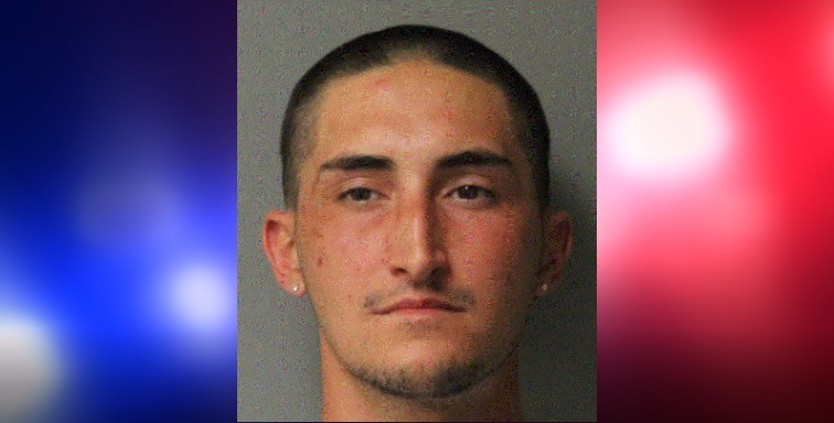 Seaford man charged with stealing car from local dealership, crashing it driving drunk