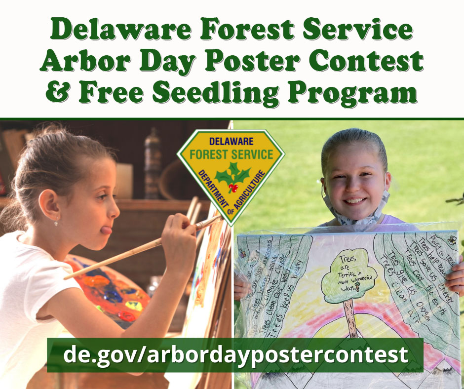 Delaware Forest Service launches Arbor Day Poster Contest