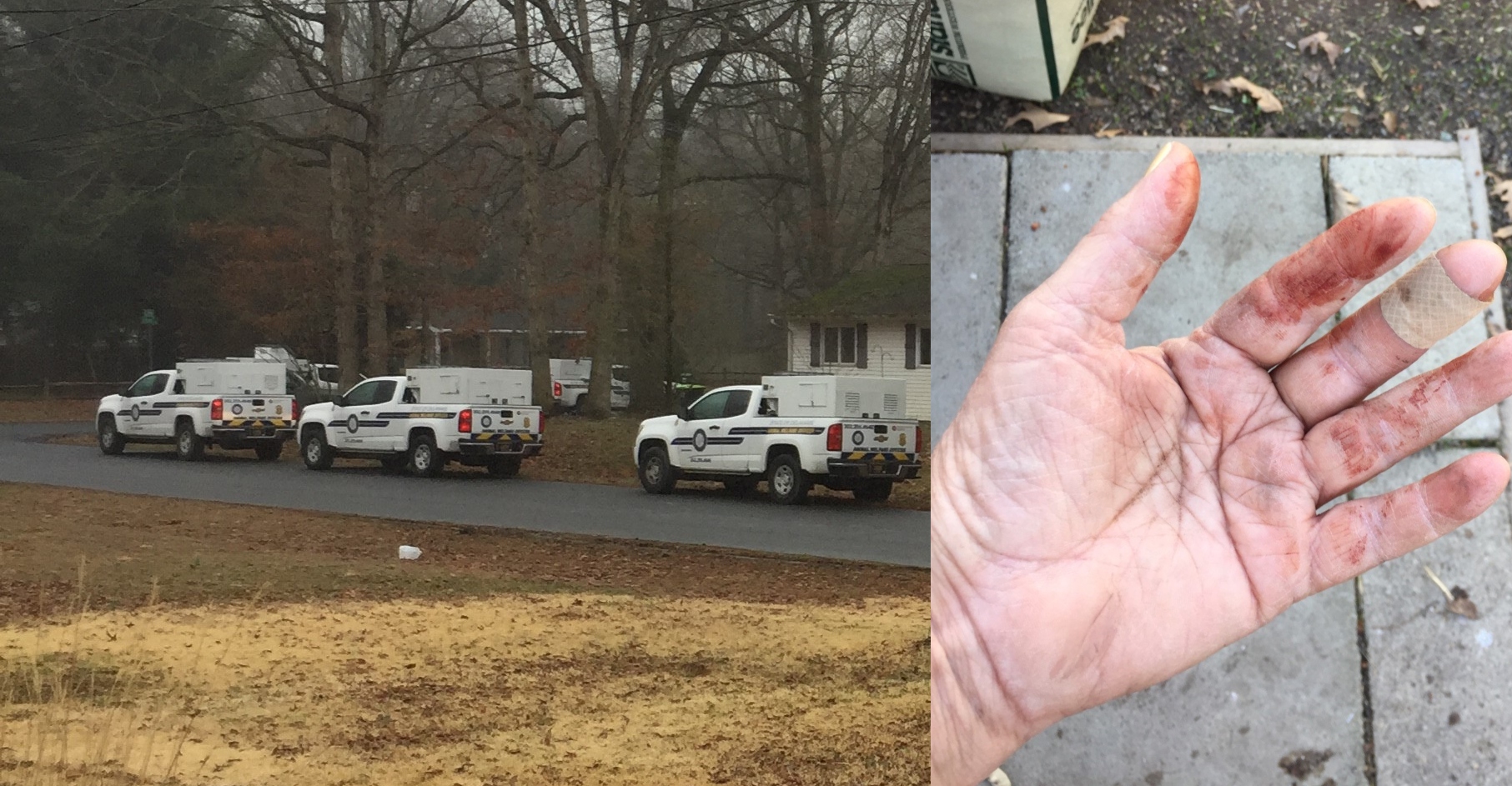 EXCLUSIVE | Georgetown woman bit, injured in animal hoarding case