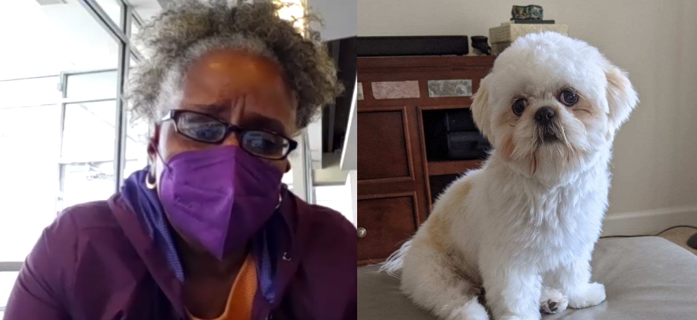 EXCLUSIVE | Sussex County woman speaks out after dog was stolen out of her car in Rehoboth