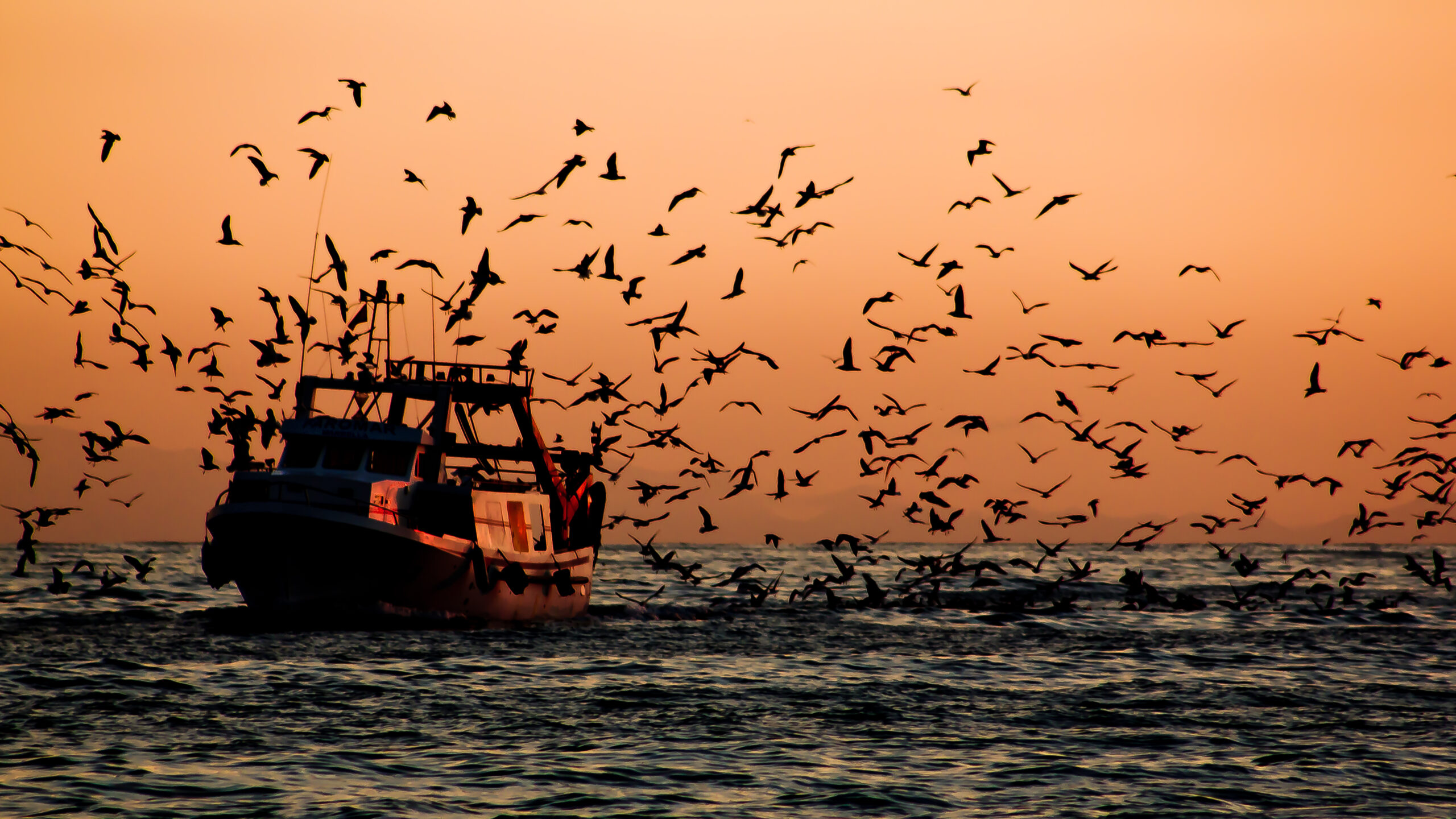 DNREC: $3 million fishery relief funding applications available until March 17