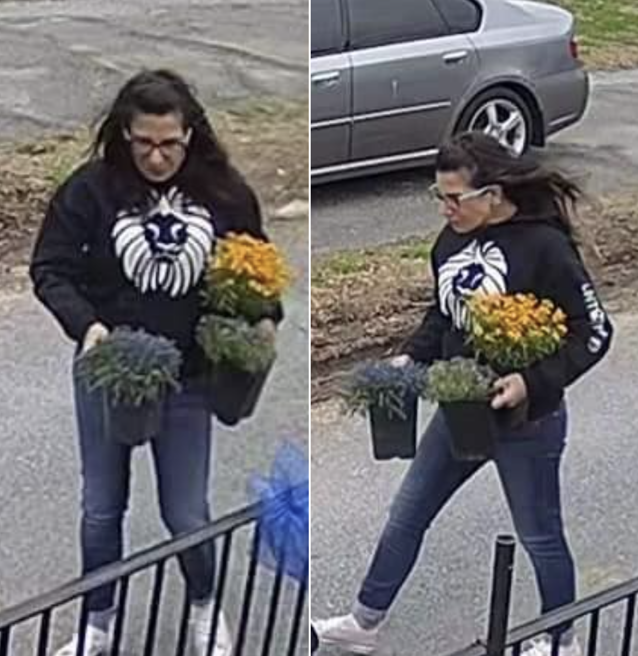Green thumb bandit: Dover PD looking for plant thief