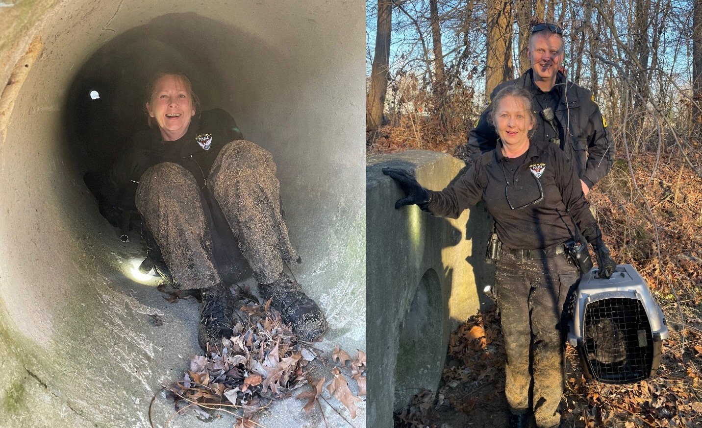 Newark Animal Control Officer goes viral helping a cat in a drainage pipe