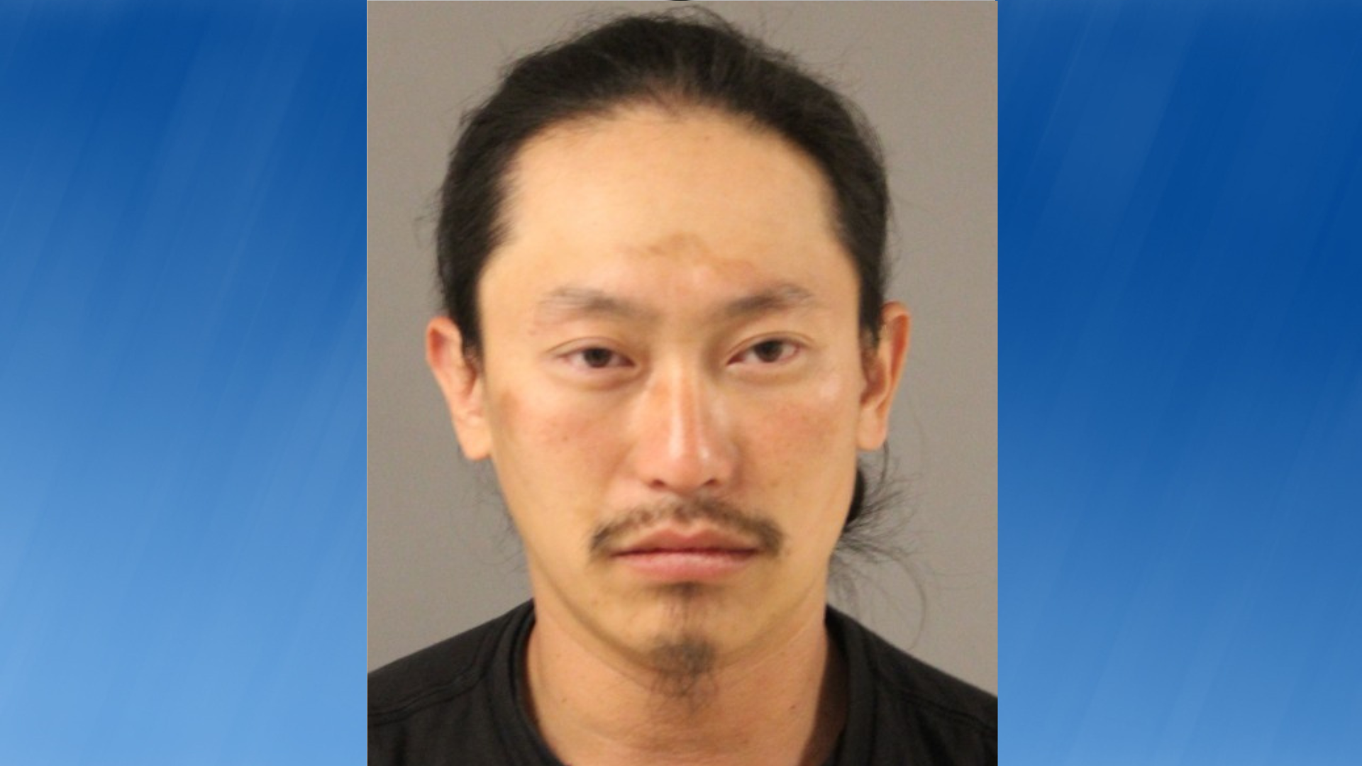 Dover traffic stop leads to drugs, untraceable gun charges