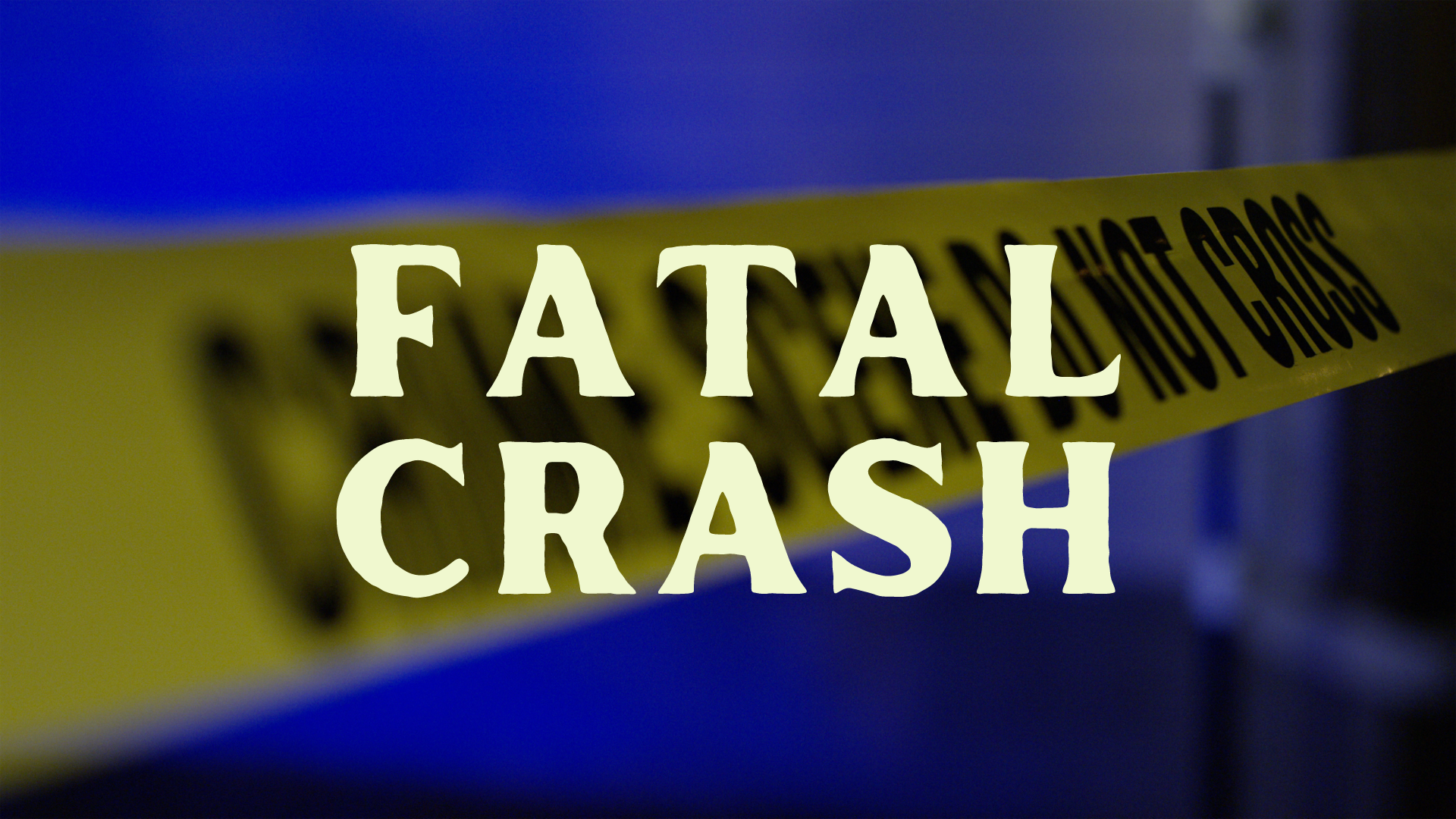 Fatal Crash on Persimmon Tree Lane