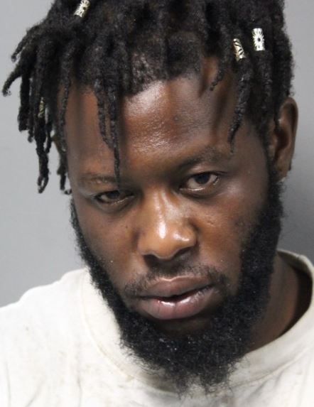 Dover Man Arrested After Fighting with Officers During Crash Investigation