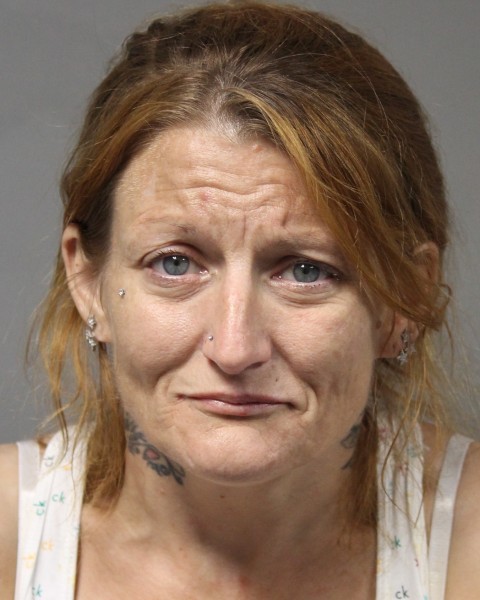 Dover Woman Arrested During Search Warrant at Kent Budget Inn