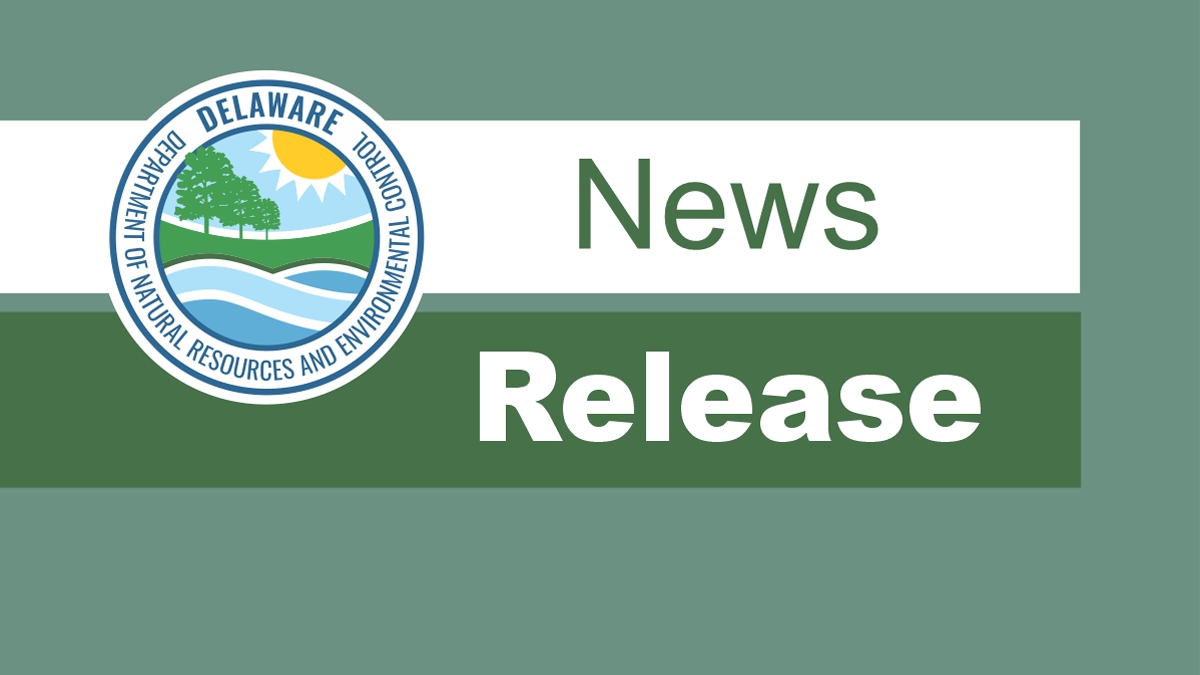 Additional Delaware Deer Hunting Seasons Open in January