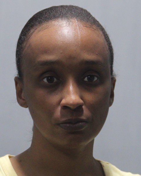 Police Pursuit Leads to Felony Arrest