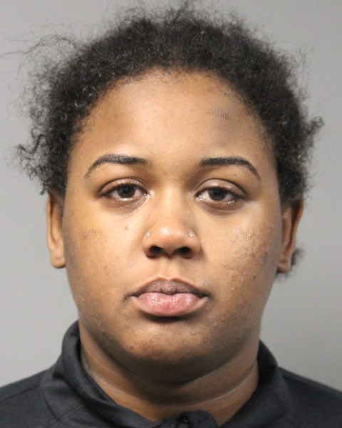 Dover Woman Arrested After Assaulting Officer and Resisting Arrest During Traffic Stop