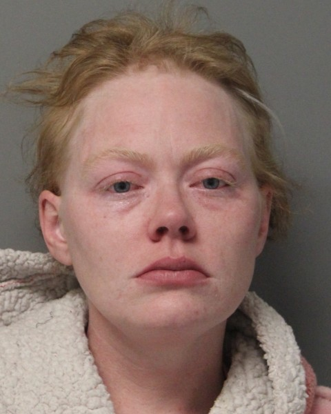 Troopers Arrest Wanted Woman for Assault