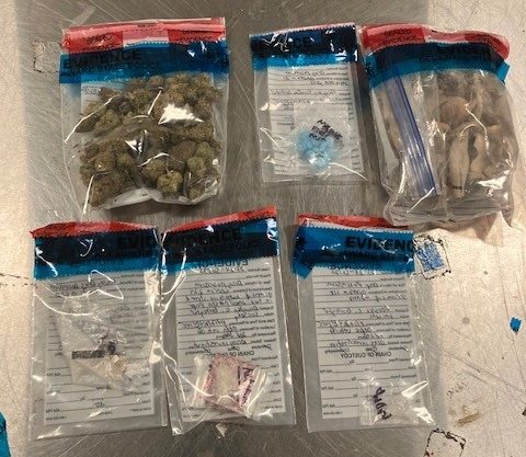 Troopers Arrest Michigan Man on Drug Charges at Phish Mondegreen Festival