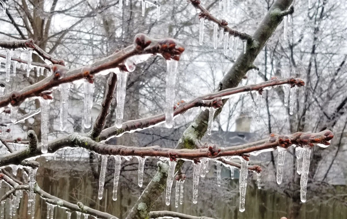 Wintry Mix Threatens Central and Northern Delmarva Again with Ice Accretion and Slick Travel This Weekend