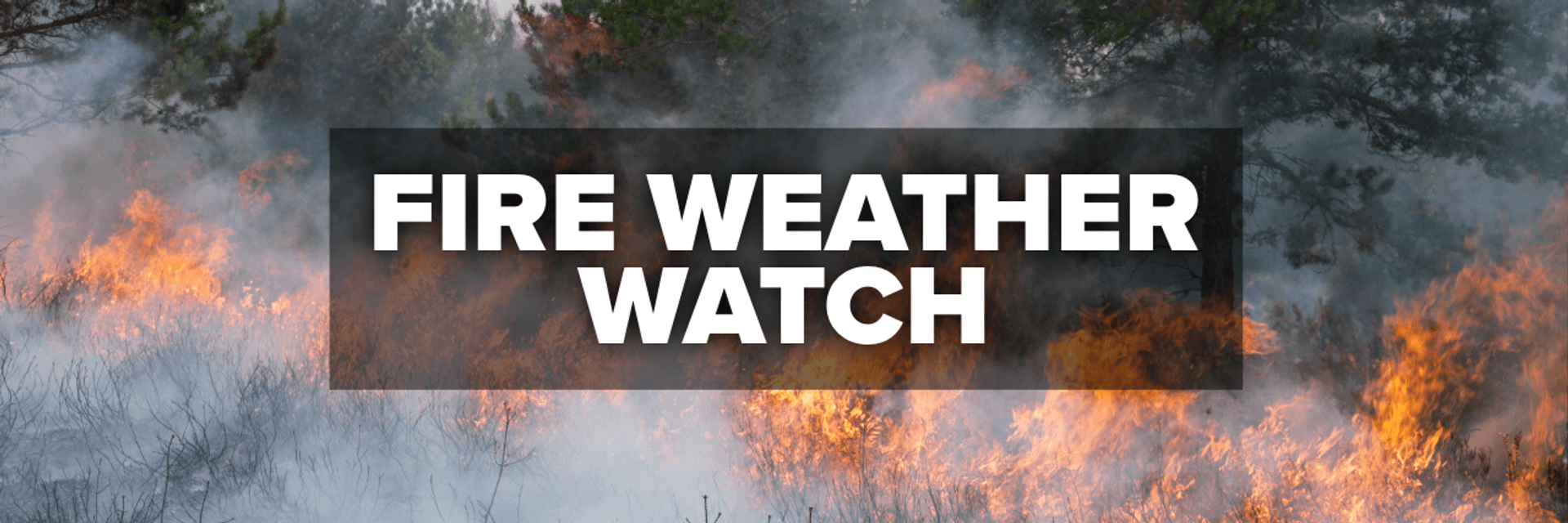 Fire Weather Watch Issued for Delaware and Eastern Shore of Maryland: Critical Fire Danger Possible