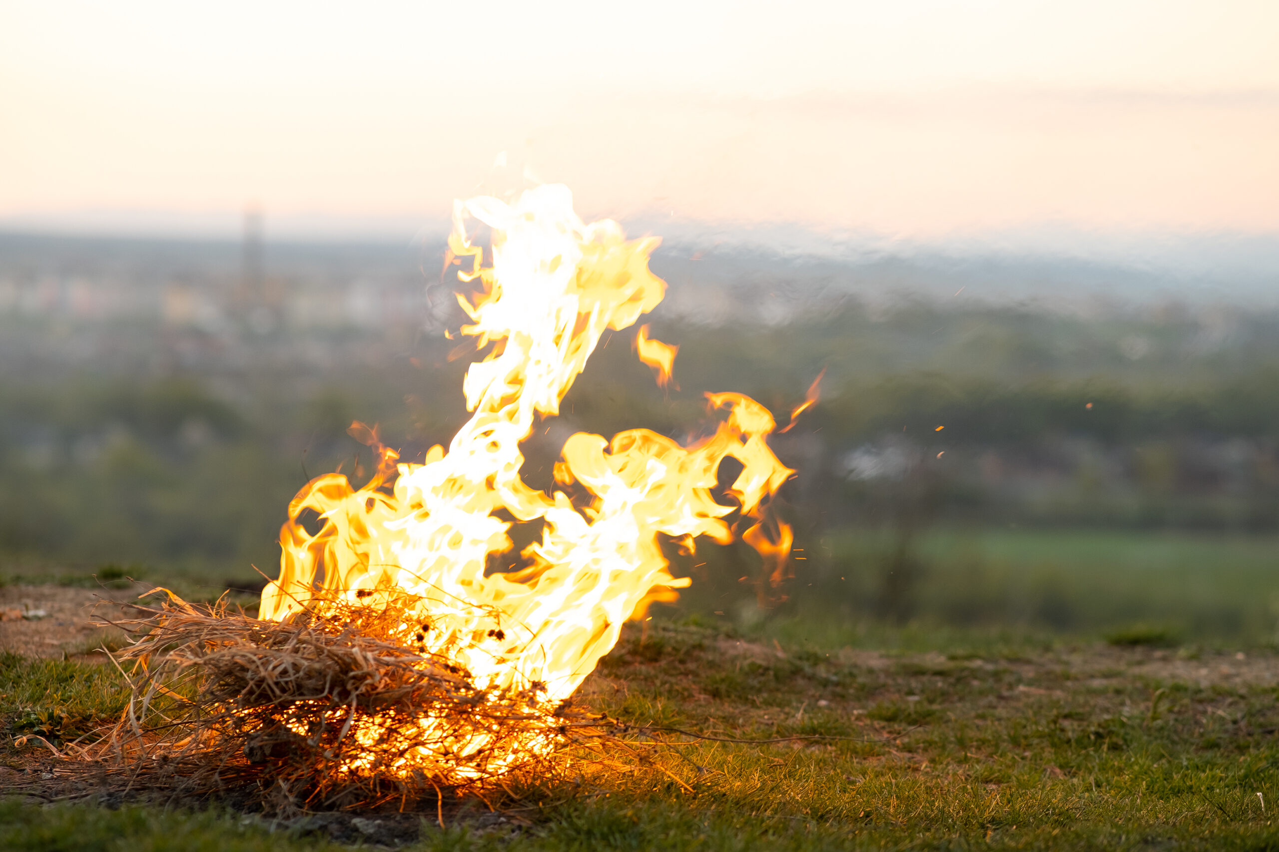 High Winds Fuel Multiple Brush Fires Across Sussex County