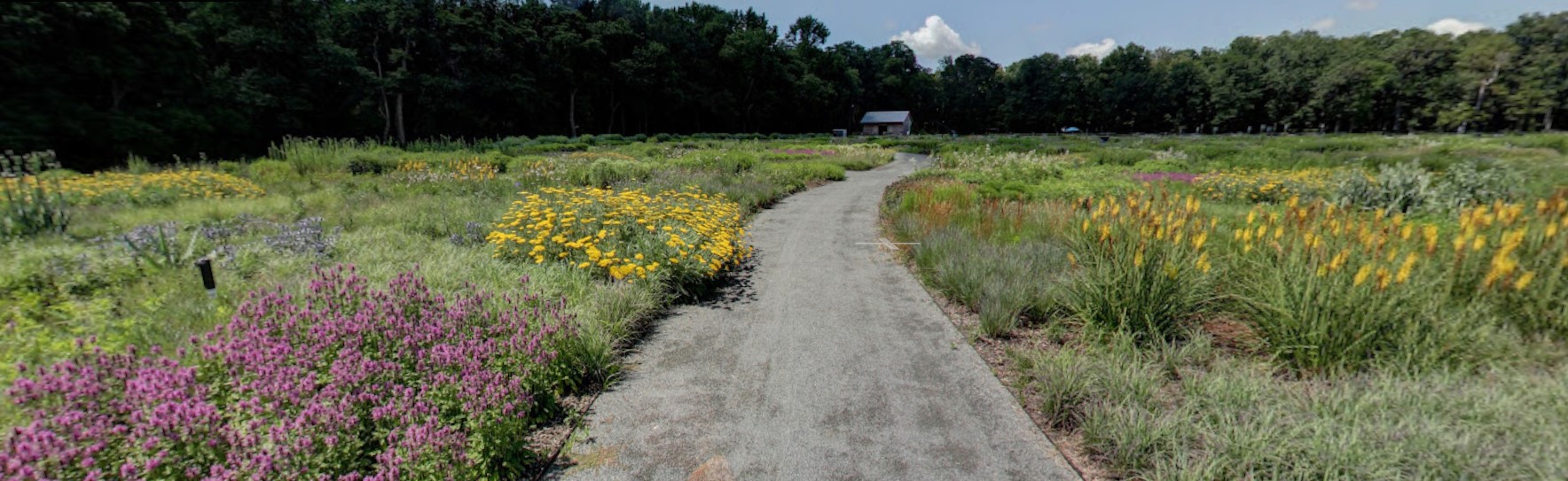 Delaware Botanic Gardens Set to Open for Seventh Season