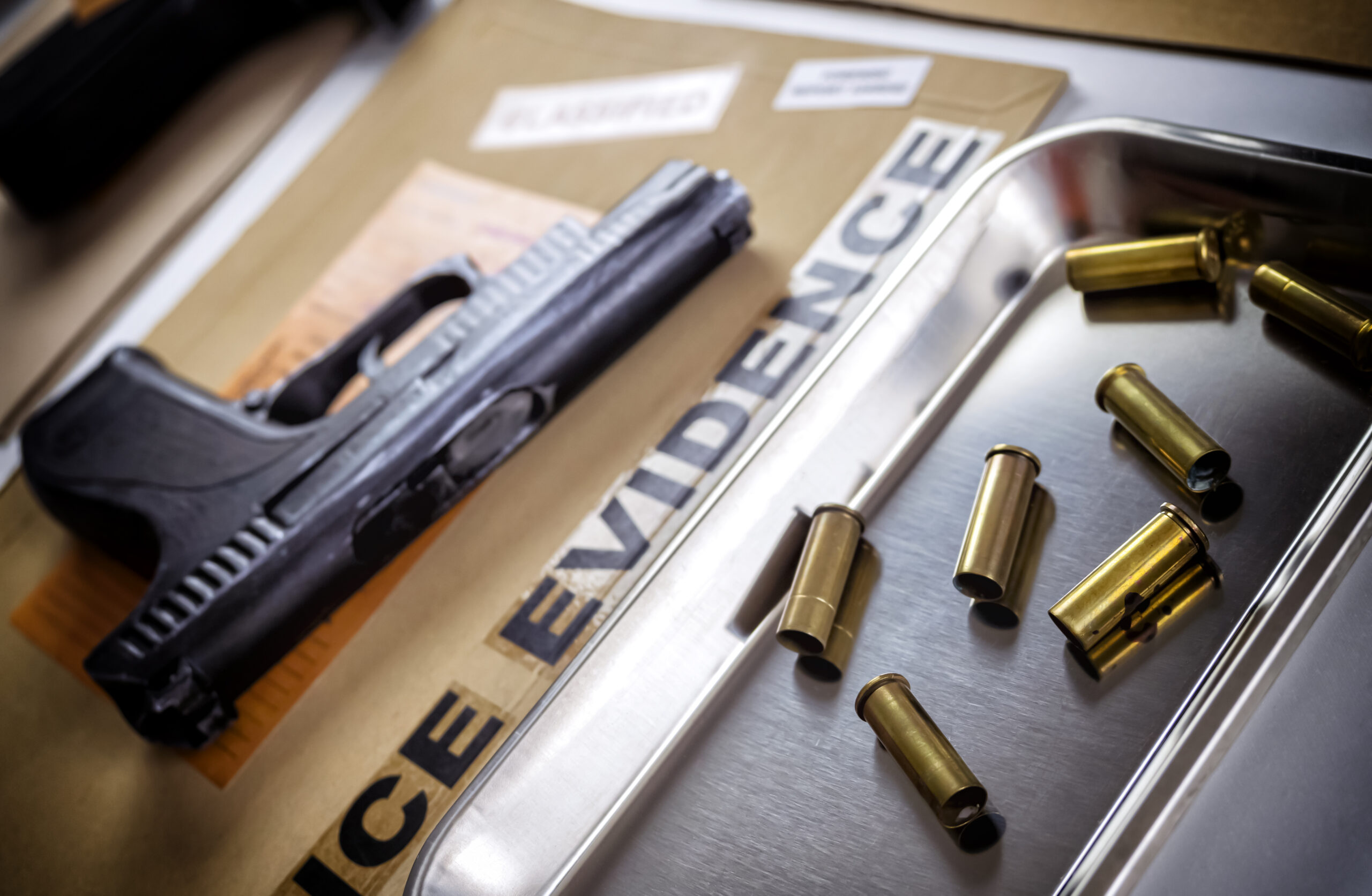 Delaware Governor Signs Executive Order to Address Gun Violence
