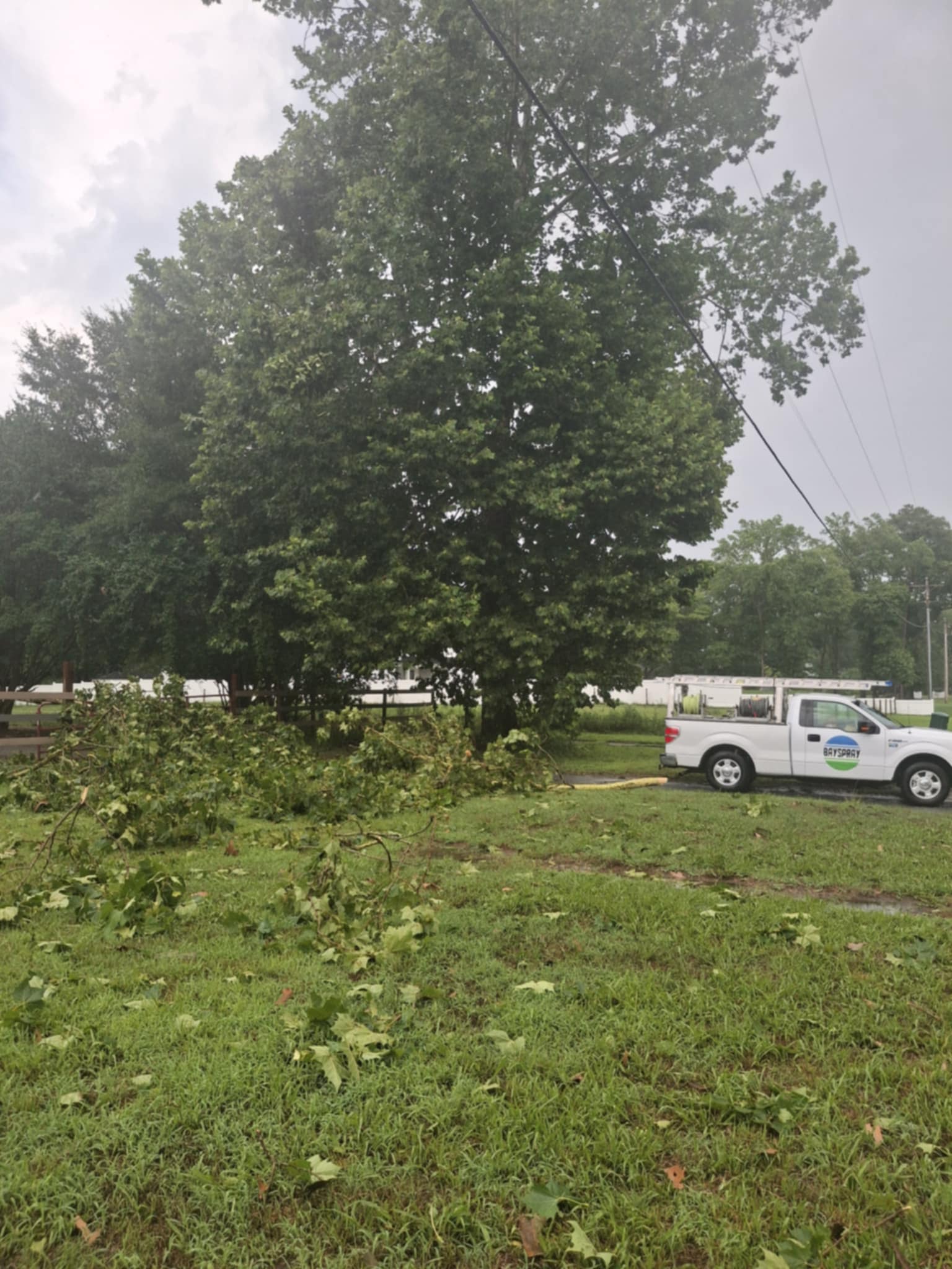 Tornado Confirmed in Sussex County