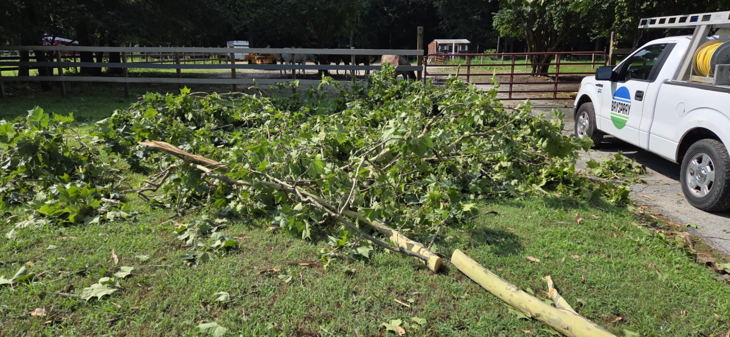 NWS Confirms EF-0 Tornado In Omar, DE On Monday