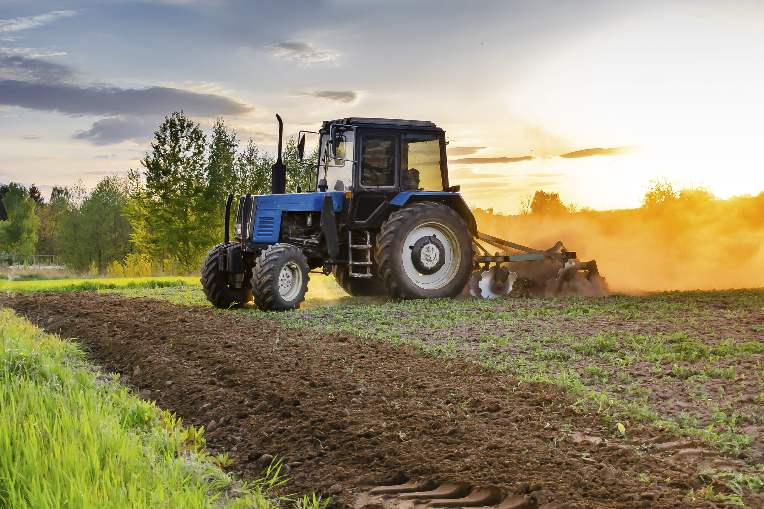 Sussex Conservation District Launches New Push for Winter Cover Crops