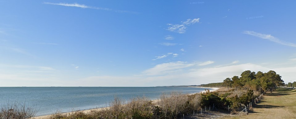Chesapeake Bay Health Score Drops Slightly in 2025, Long-Term Progress Continues
