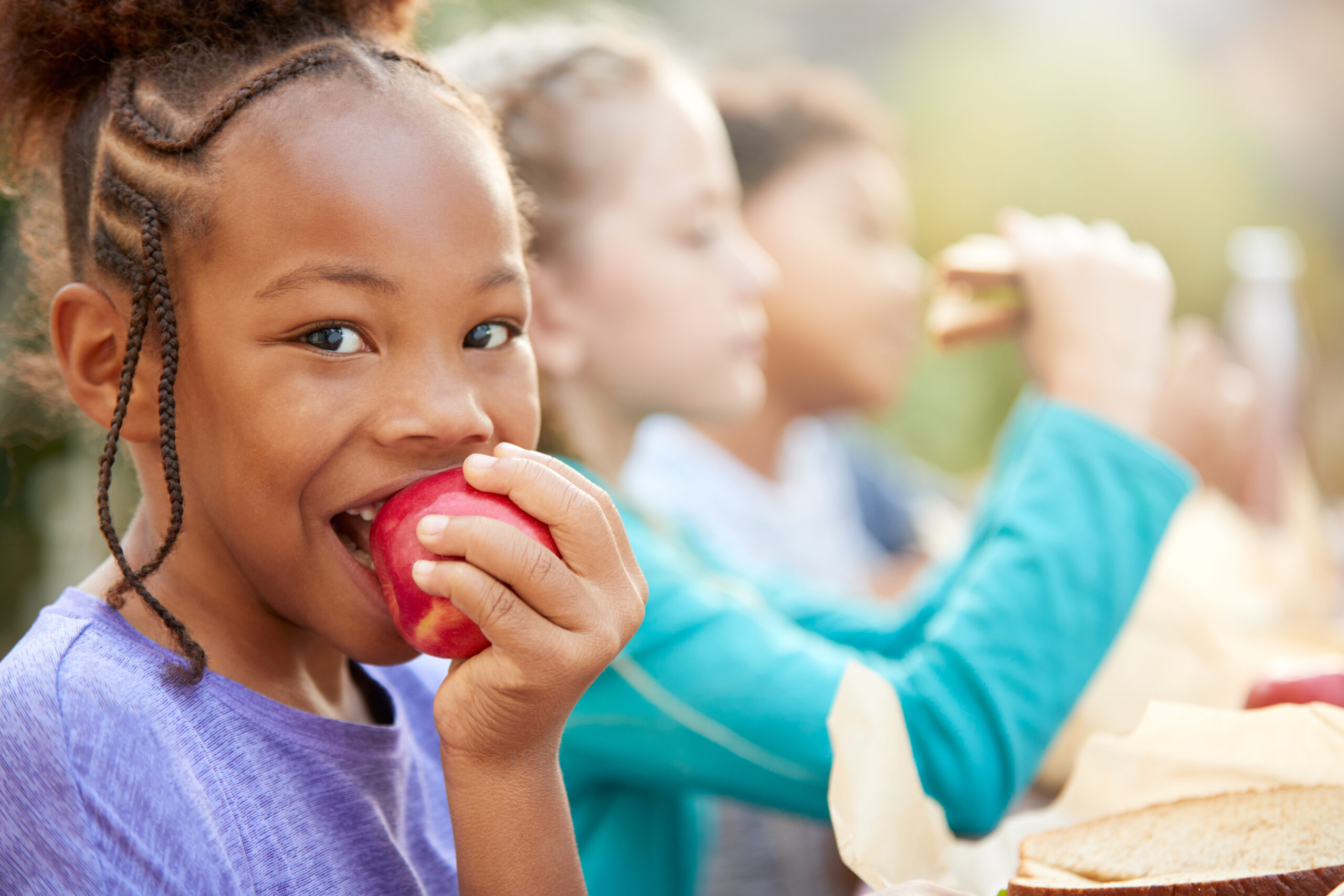 Delaware Sets Income Guidelines and Application Process for School Meal Programs in 2025-2026
