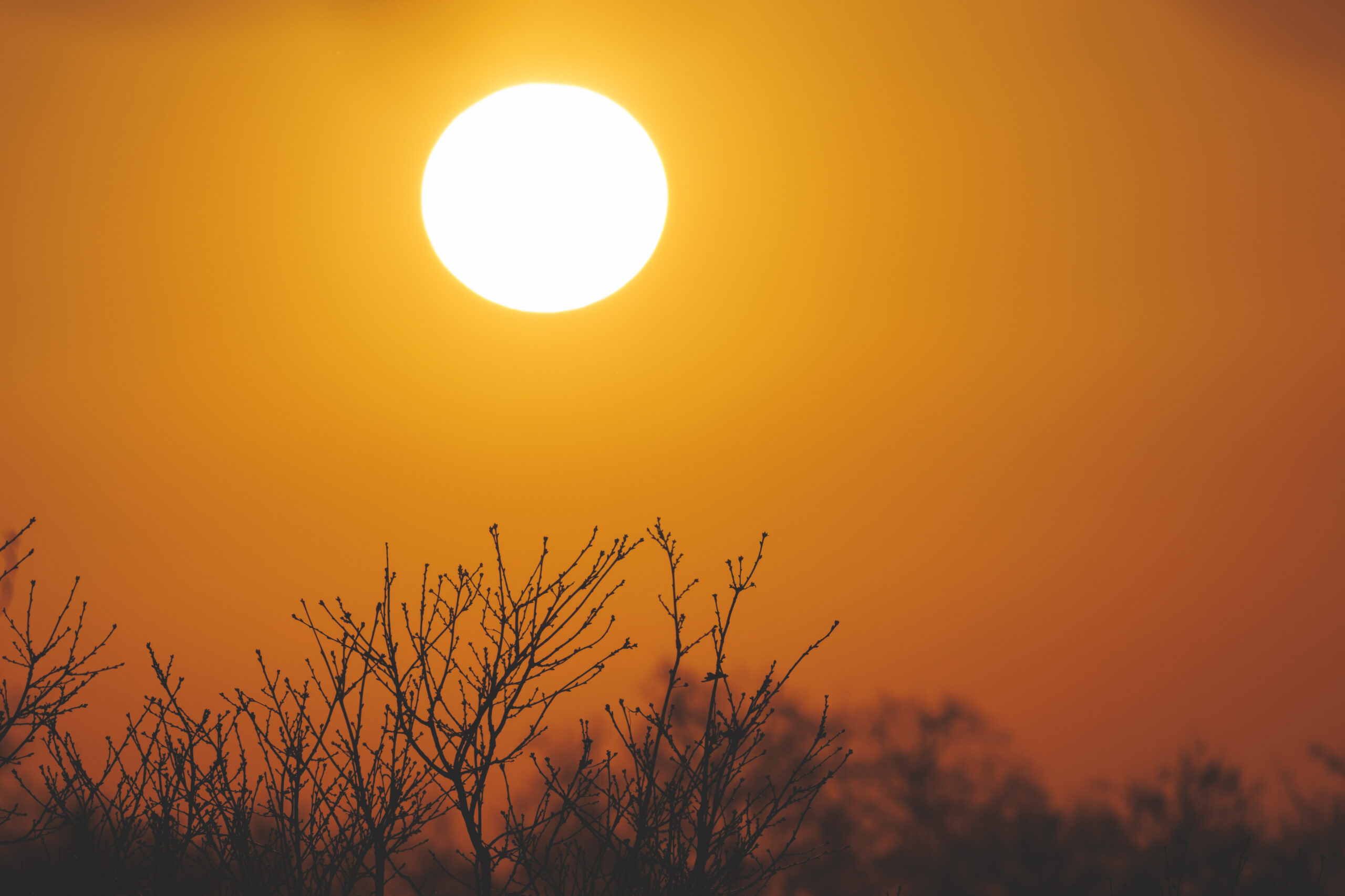 Sussex County Activates Multiple Cooling Centers as Heat Wave Hits Region