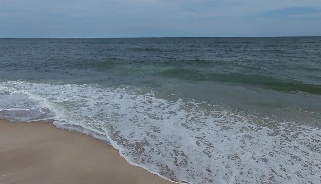 YOUNG SWIMMER DIES AFTER DISTRESS AT ASSATEAGUE ISLAND NATIONAL SEASHORE