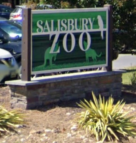 Salisbury Zoo Introduces New Animals Ahead of Inclusive Craft Night