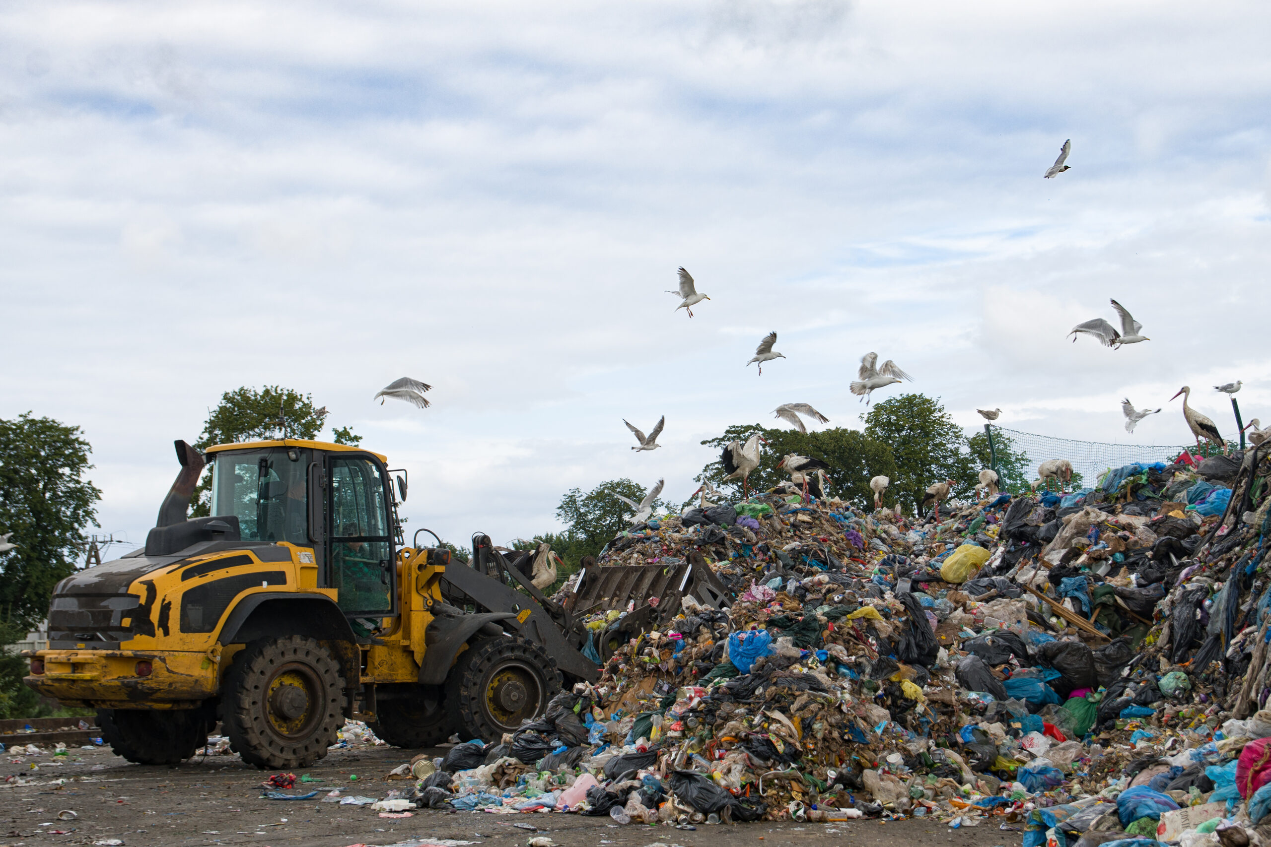 Wicomico County Council Moves to Lock in Landfill Hours Amid Commercial Hauler Concerns