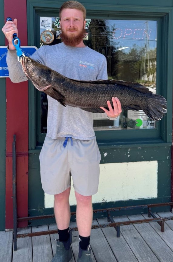 RUST SETS A DELAWARE NORTHERN SNAKEHEAD RECORD WITH MARSHYHOPE DITCH CATCH