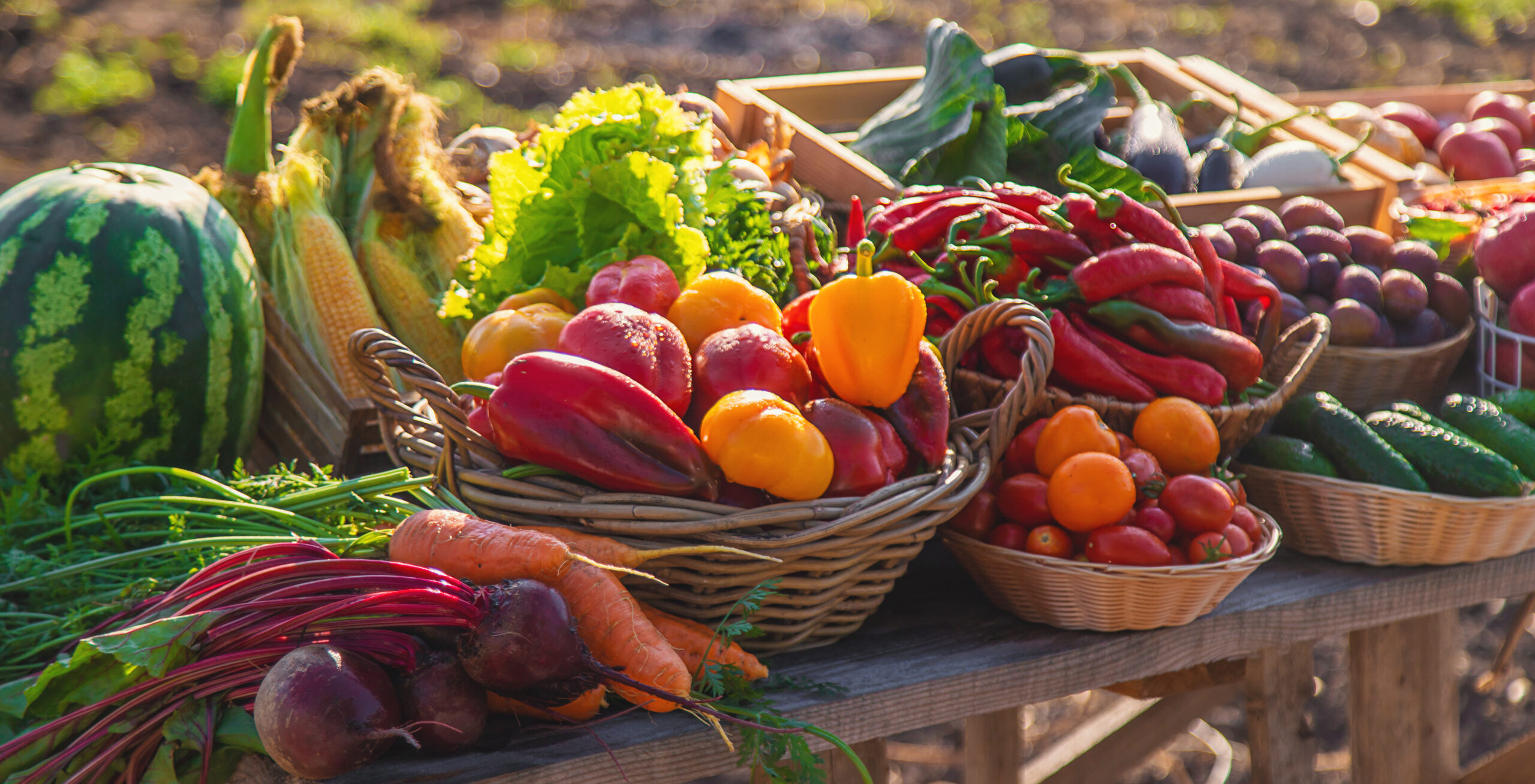 Farmers Markets Thrive Across Sussex County, Offering Fresh Local Goods and Community Benefits