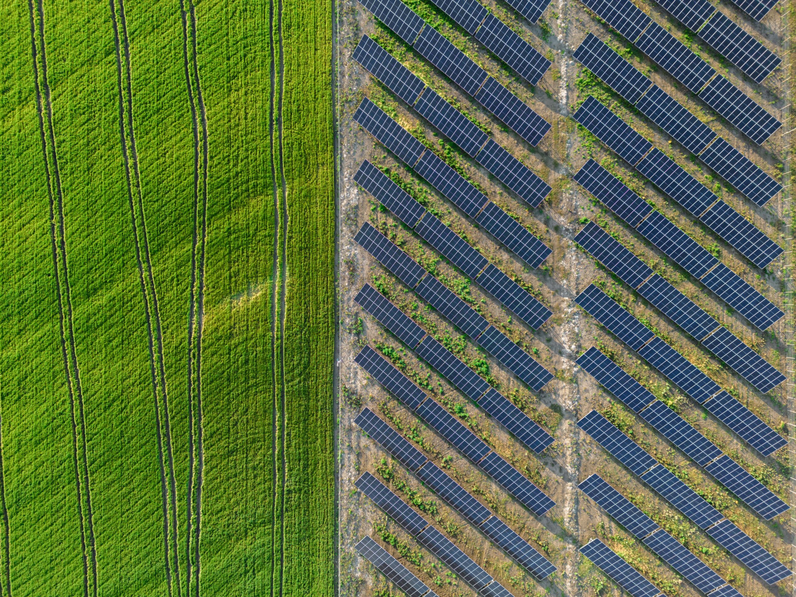 Solar Expansion on Maryland’s Eastern Shore Raises Concerns About Farmland Loss and Local Control