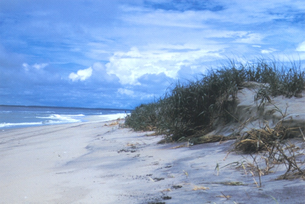Assateague Island Implements Closures Ahead of Hurricane Erin