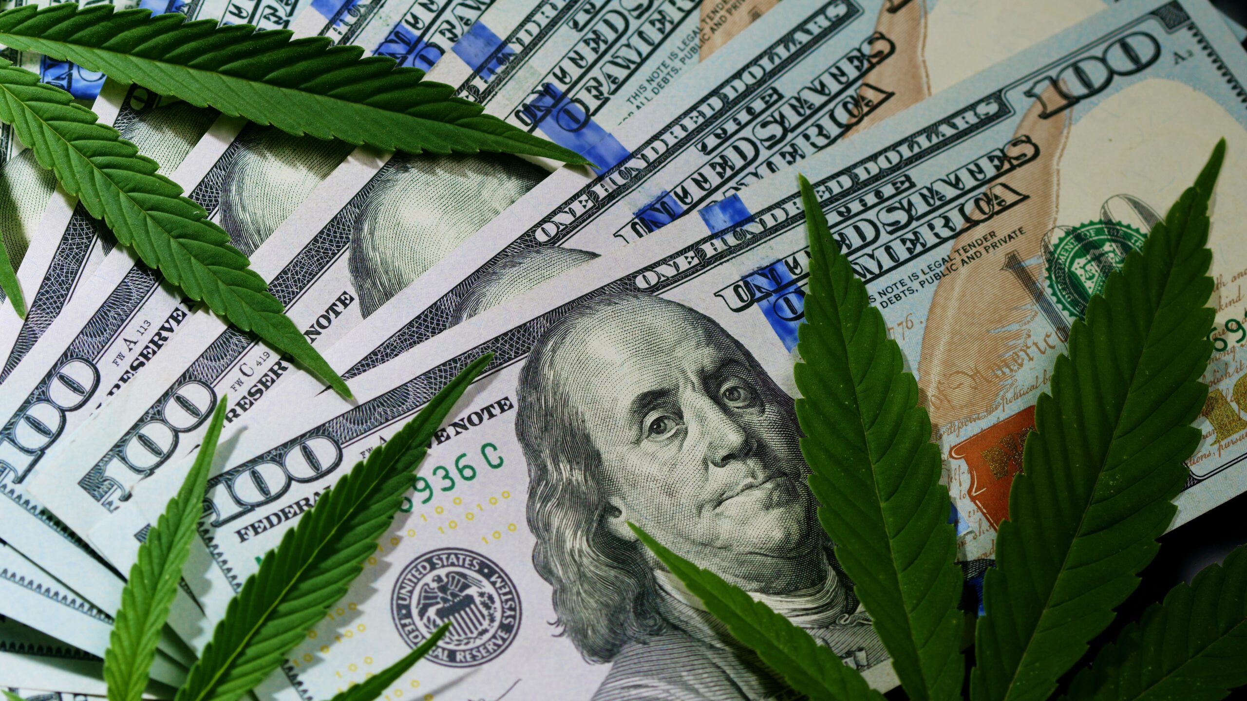 Delaware’s Recreational Marijuana Sales Top $900,000 in Historic First Weekend