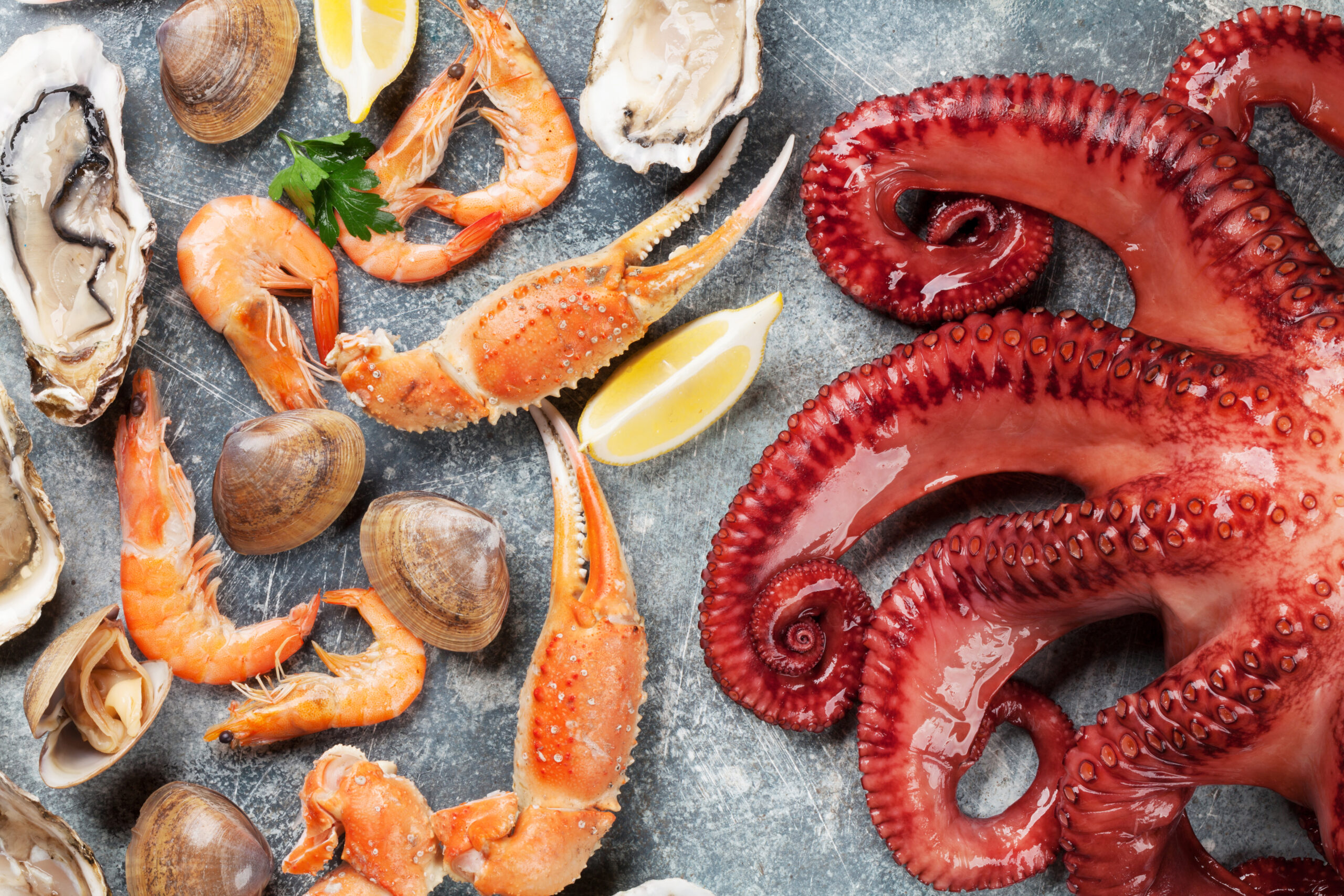 Ocean City to Host Inaugural Seafood Festival  Sept. 6th
