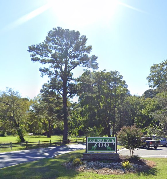 Salisbury Zoo Announces Temporary Closure for Pathway Upgrades