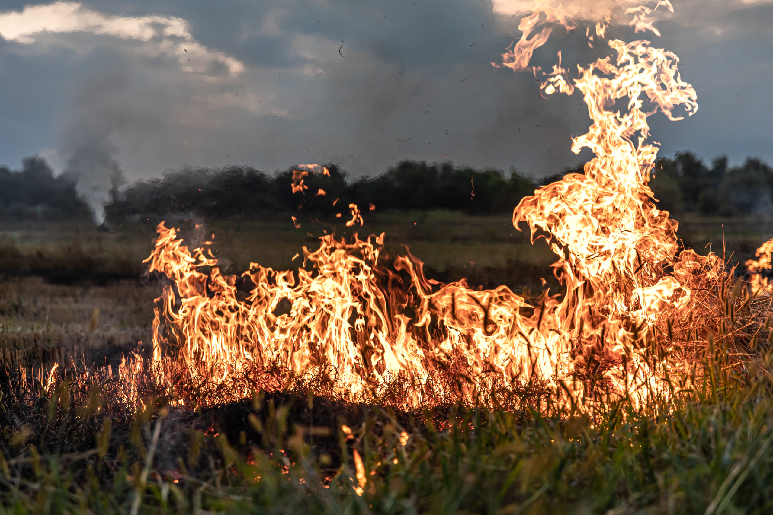Virginia Department of Forestry Deploys Firefighters Ahead of Fall Wildfire Season