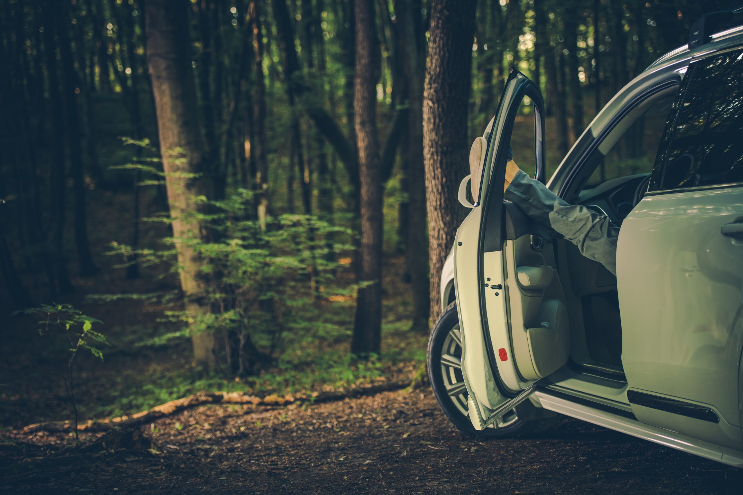 Delaware Natural Resources Police Offer Vehicle Safety Tips for State Park Visitors