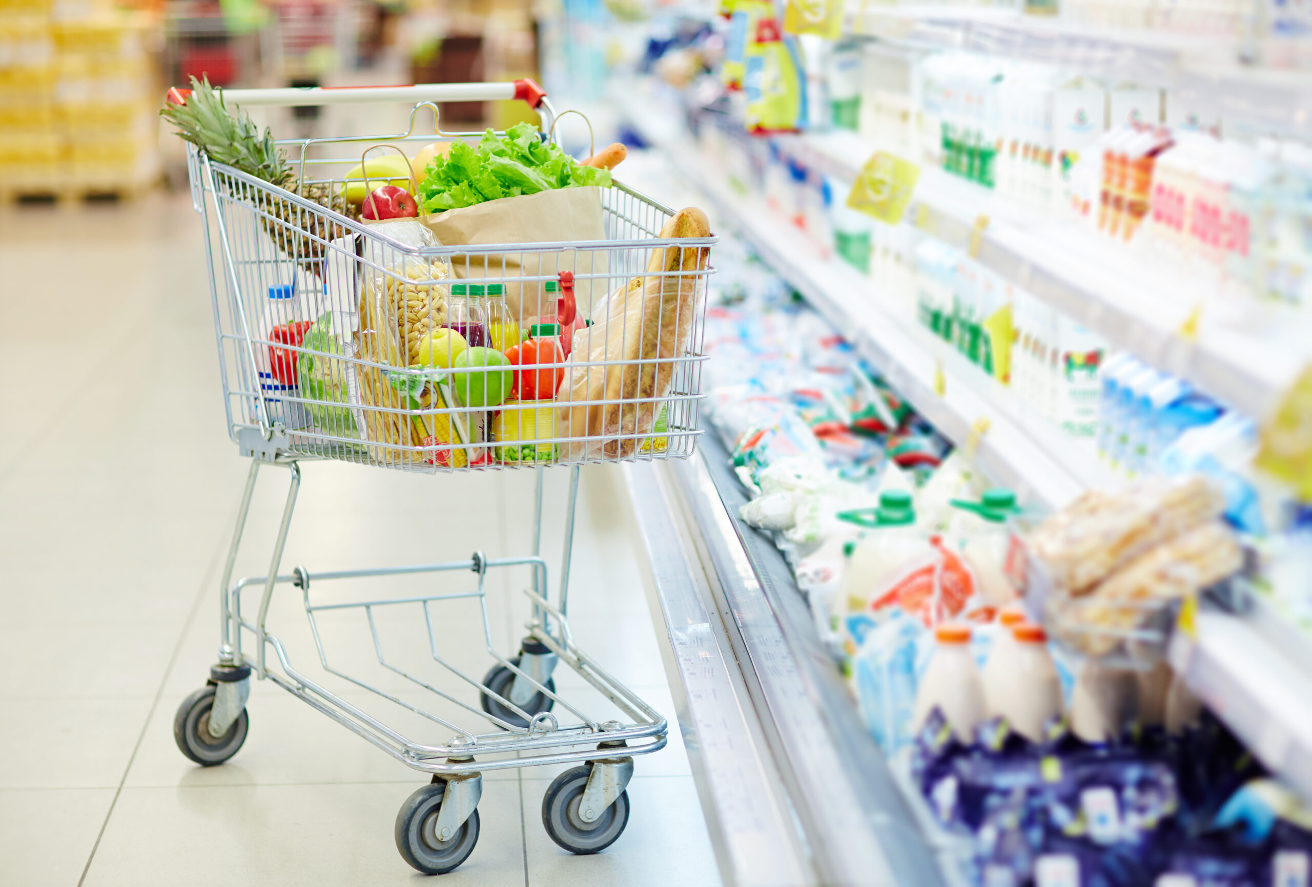 Delaware Joins Multistate Lawsuit to Prevent SNAP Benefit Suspension During Federal Shutdown