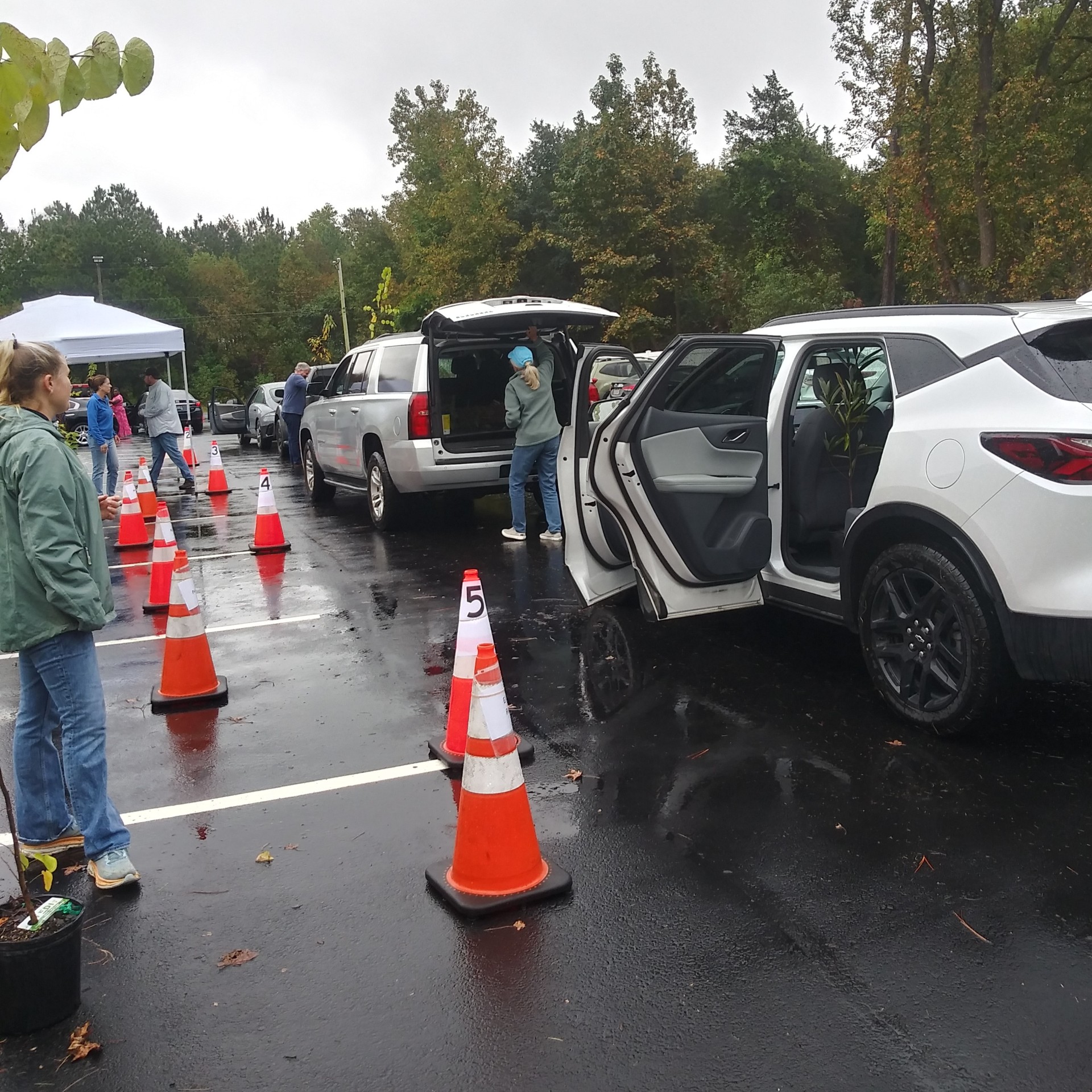 Sussex Conservation District Gives Away 500 Native Trees During Annual TEDI Event