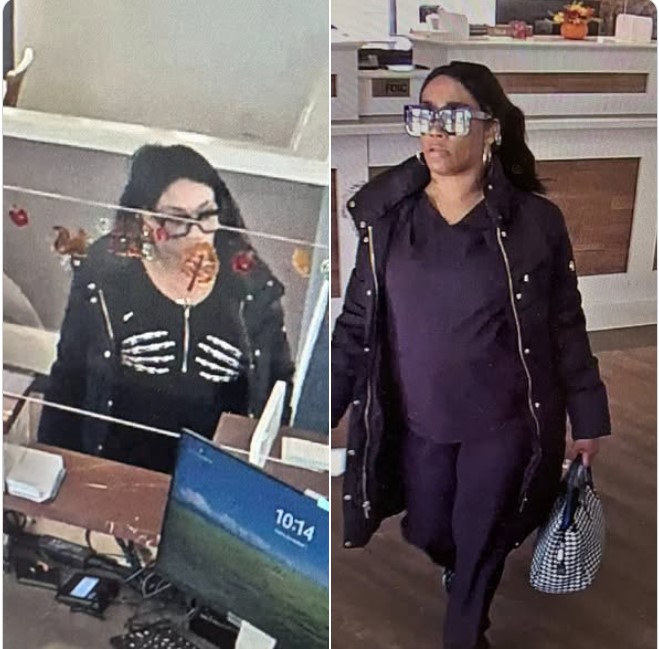 OCEAN CITY POLICE SEEK PUBLIC HELP IN CHECK THEFT AND FRAUD CASE
