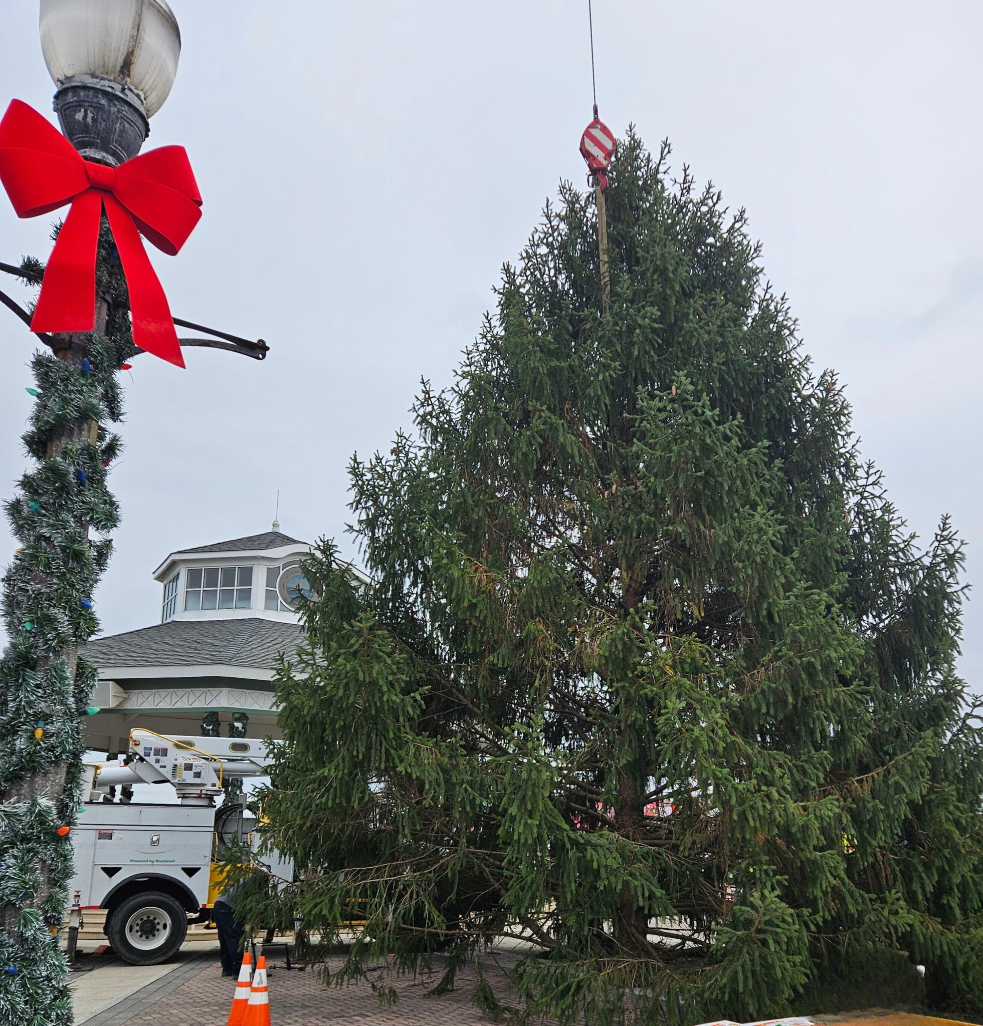 CITY OF REHOBOTH BEACH COMPLETES INSTALLATION OF BANDSTAND CHRISTMAS TREE