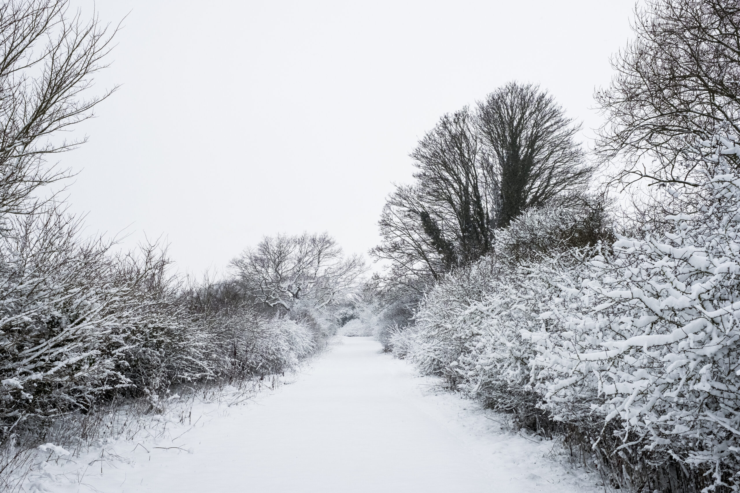 SUSSEX COUNTY PROMOTES WINTER READINESS AS COLD WEATHER ARRIVES
